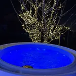 Igloo Glamping Dome Apartment